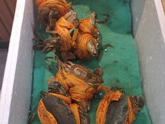 -501號台州海鲜餐厅(海创园店)