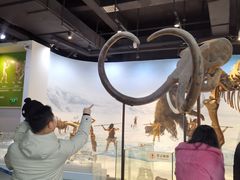 -辽宁古生物博物馆