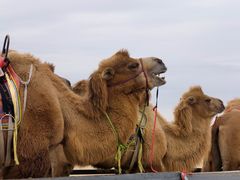-库伦旗银沙湾旅游景区