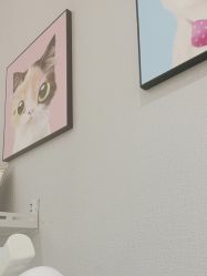 -洗脸猫·洗脸吧