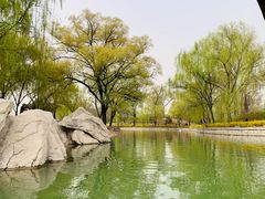 -达活泉公园