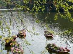 -深圳仙湖植物园