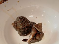 姜汁海螺-怡情荟•海鲜青岛菜(五四广场旗舰店)