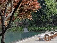 -和顺柏联温泉