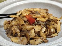 -蓝田印象