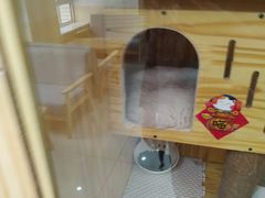-鼓捣猫呢主题猫咖店