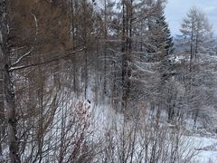 -长白山华美胜地滑雪场