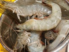 -懂食汇自助火锅