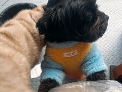 -飘香火锅(玉林西路店)