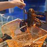 三亚海鲜自助🦞超高性价比的海鲜自助餐厅🔥