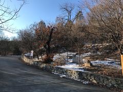 -北京鹫峰国家森林公园