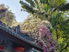 -深圳国际园林花卉博览园