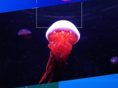 -福州罗源湾海洋世界旅游区