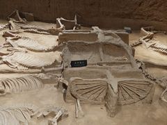 -洛阳周王城天子驾六博物馆