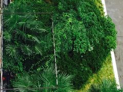 停车场都这牛-武当山风景区