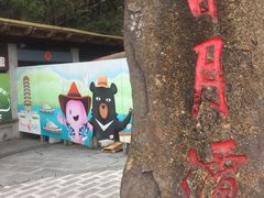 -金盆阿嬷香菇茶叶蛋(玄光店)