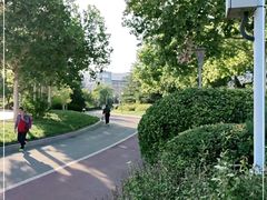 -滨河世纪广场公园