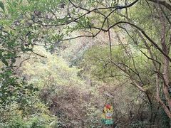 -武夷山风景名胜区-虎啸岩