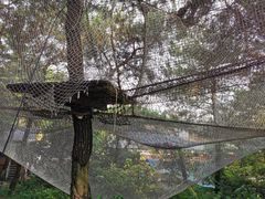 -芦仙山景区-飞越丛林探险乐园