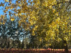 -野鸭湖国家湿地公园