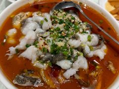 -强记海鲜菜馆(罗湖万象城店)