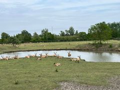 -溱湖国家湿地公园