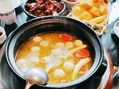 -志晖园圆子鸡·辣子鸡(阳光店)