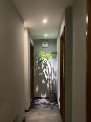 -芳香乐府SPA·五行芳疗