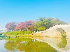 -月湖风景区