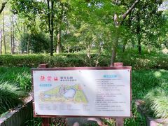 -陈家山荷花公园