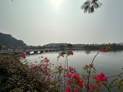 -星湖旅游景区七星岩