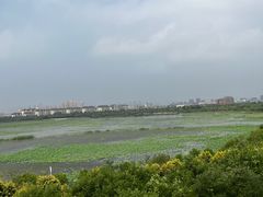 -天津东丽湖风景区