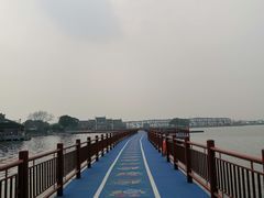 -鹅湖玫瑰文化园