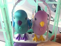 -TOYSRUS玩具反斗城(凯德广场云尚店)