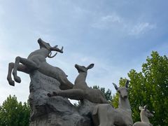 -秦皇岛野生动物园
