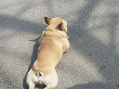 -安庆柴火馄饨(马道街店)