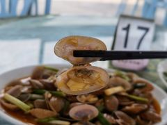 -七鲜渔港美食餐厅(巽寮湾海景店)