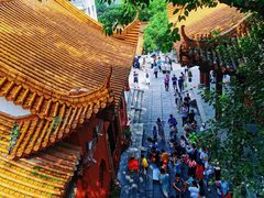 -深圳仙湖植物园-停车场