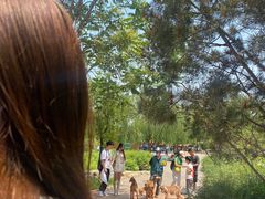 -辛玛王国游乐园