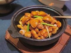 鲍鱼焖清远鸡-旺顺阁海鲜广场(亚运村店)