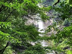 -瓦屋山景区