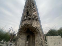 -上海佘山国家森林公园天马山园