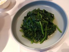 白灼丝瓜尖-松鹤楼·非遗·苏帮菜(融科店)