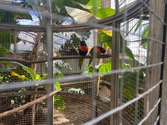 -大连森林动物园