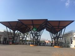 -上海长兴岛郊野公园