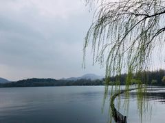 -杭州西子湖四季酒店·金沙厅