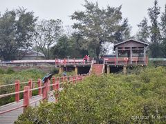 -北海金海湾红树林生态旅游区