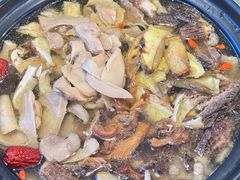 -蘑统田下·野生菌火锅