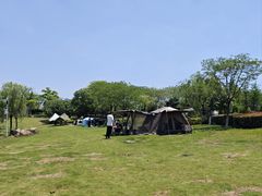 -九龙湖公园