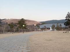 -奈良公园